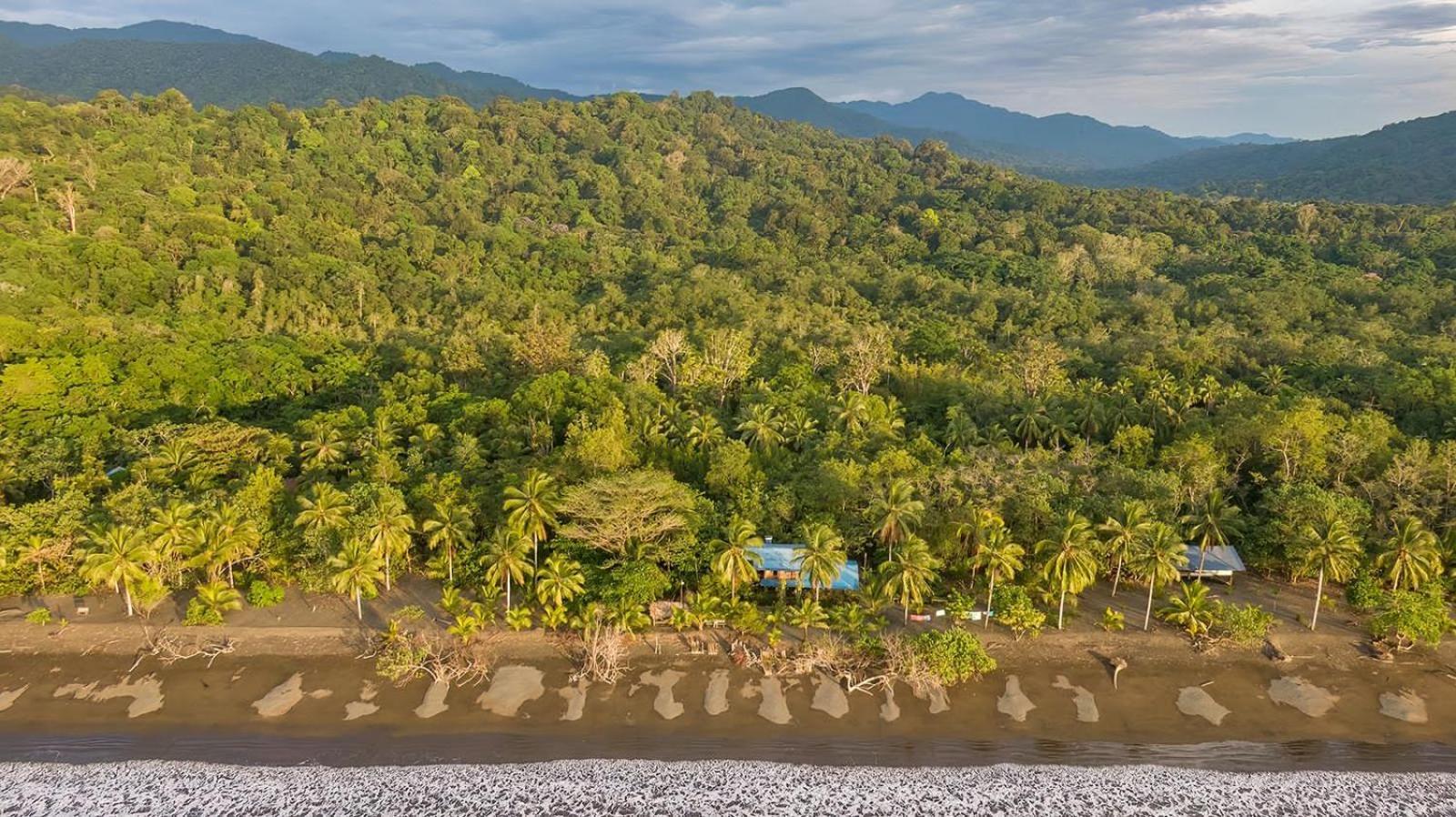 Jardin Botanico Del Pacifico Y Mecana Ecohotel Bahia Solano Dış mekan fotoğraf