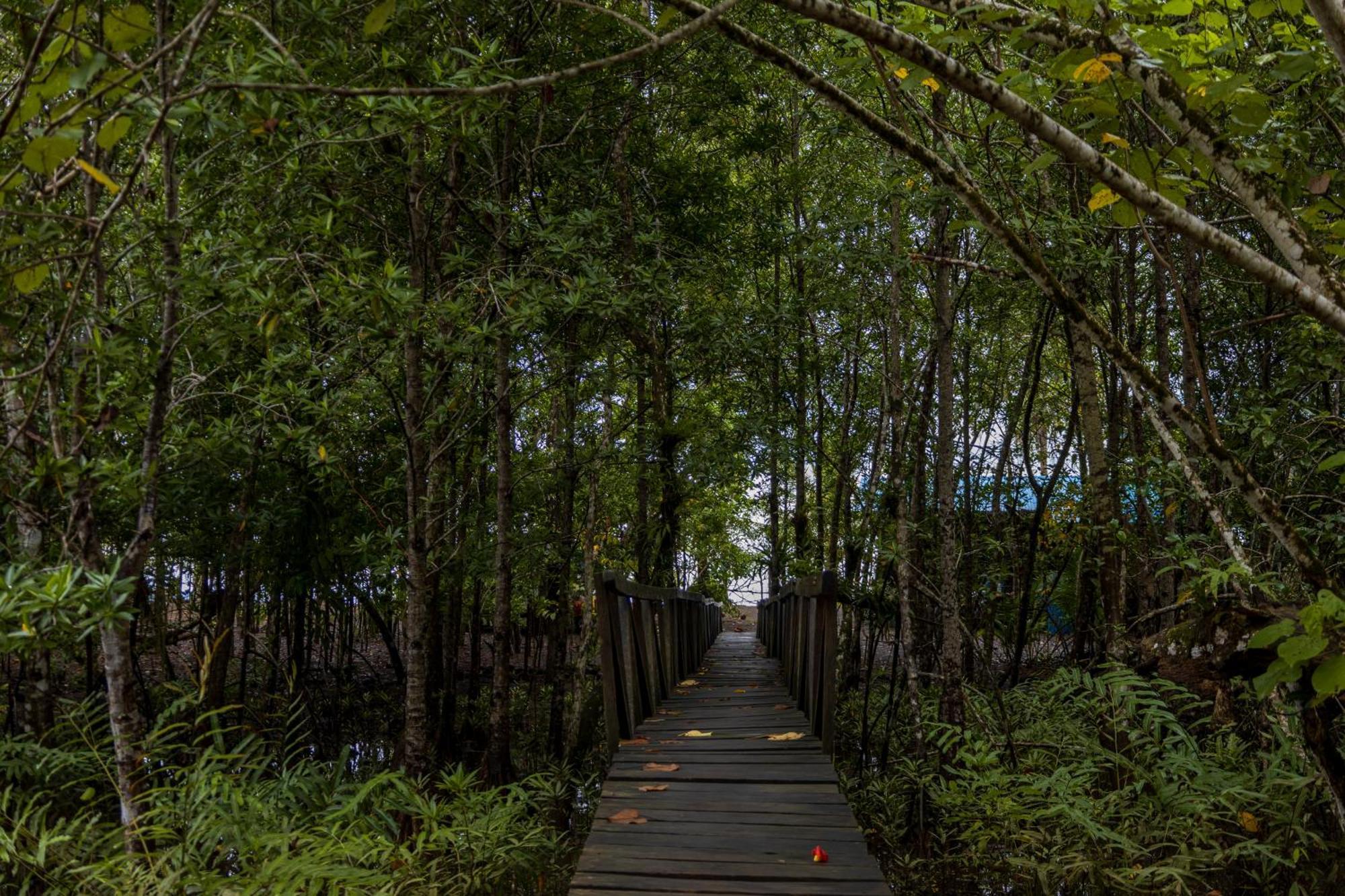 Jardin Botanico Del Pacifico Y Mecana Ecohotel Bahia Solano Dış mekan fotoğraf