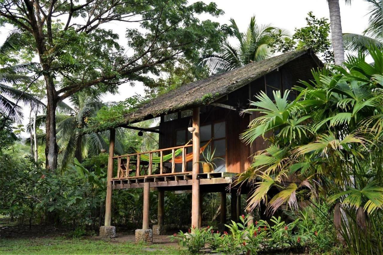 Jardin Botanico Del Pacifico Y Mecana Ecohotel Bahia Solano Dış mekan fotoğraf