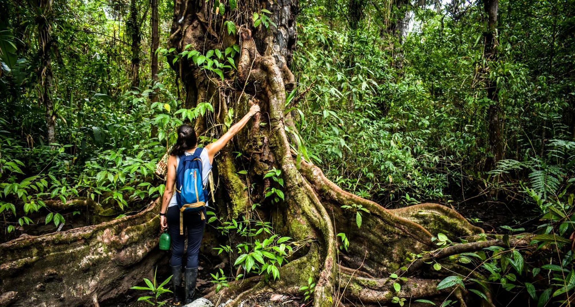Jardin Botanico Del Pacifico Y Mecana Ecohotel Bahia Solano Dış mekan fotoğraf