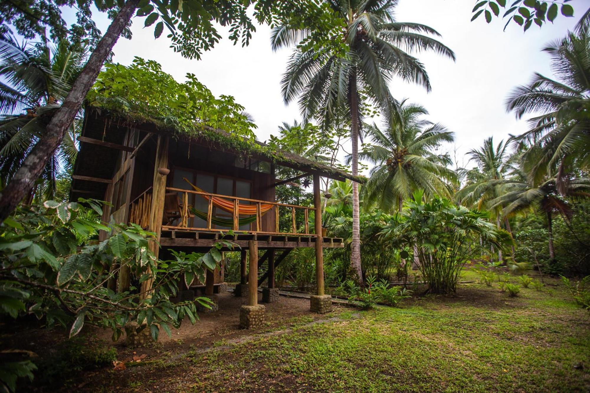 Jardin Botanico Del Pacifico Y Mecana Ecohotel Bahia Solano Dış mekan fotoğraf