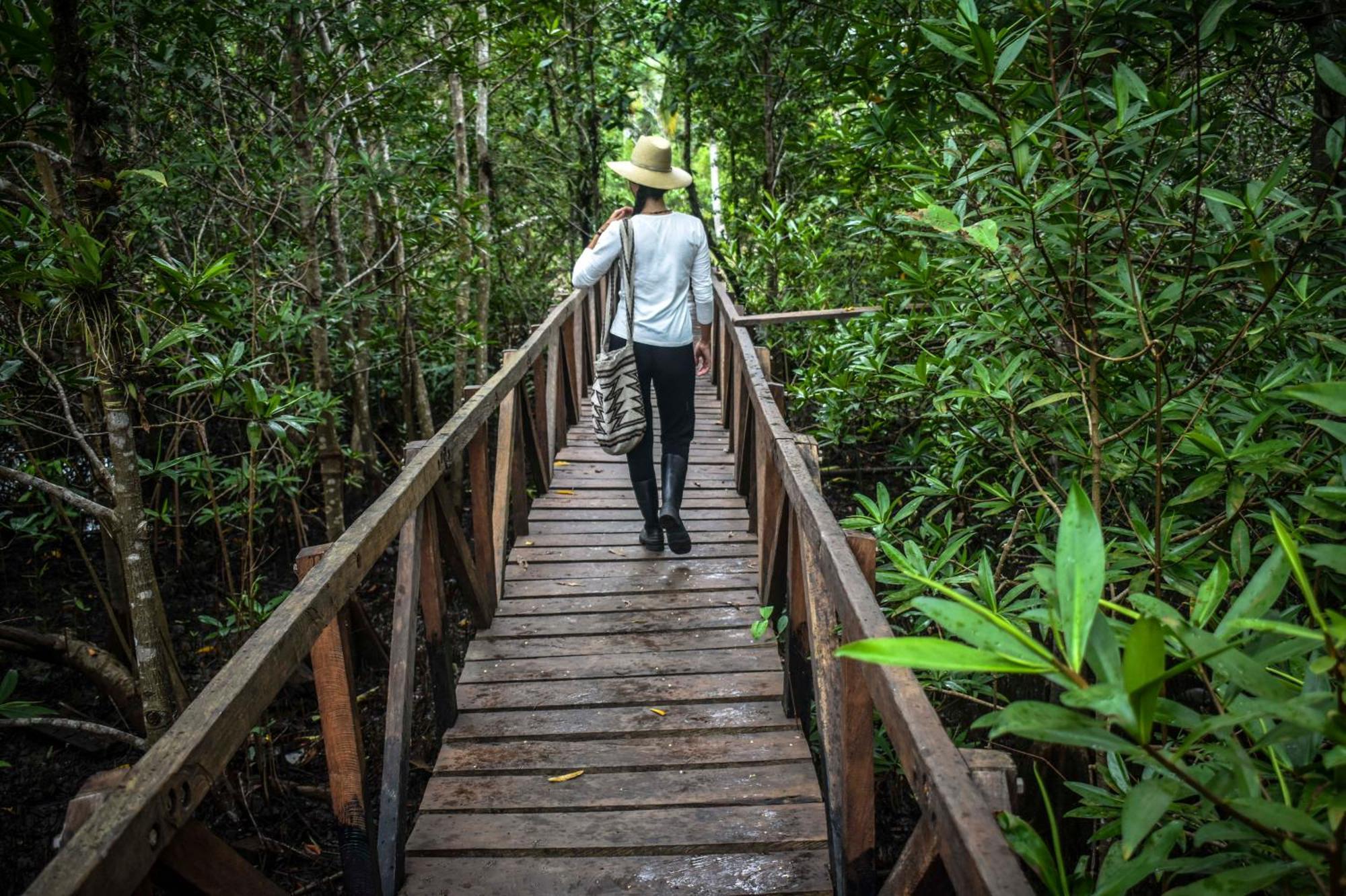 Jardin Botanico Del Pacifico Y Mecana Ecohotel Bahia Solano Dış mekan fotoğraf