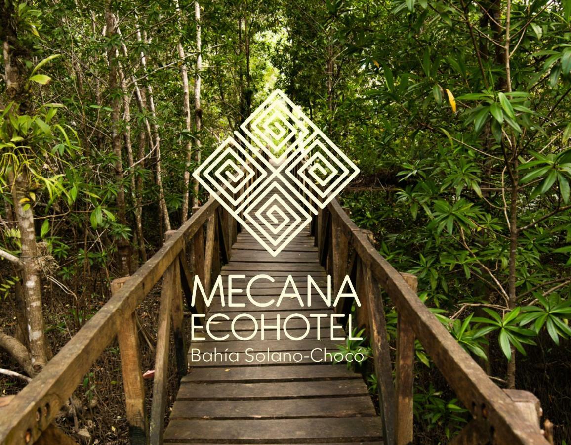 Jardin Botanico Del Pacifico Y Mecana Ecohotel Bahia Solano Dış mekan fotoğraf